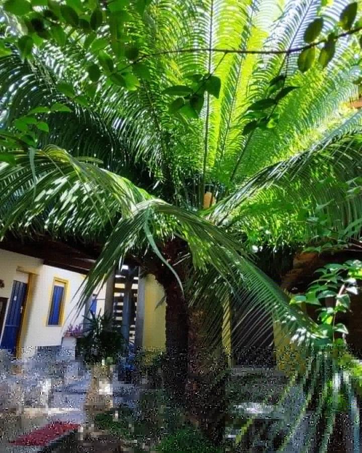 Pousada Solar Azul Lencois Bagian luar foto